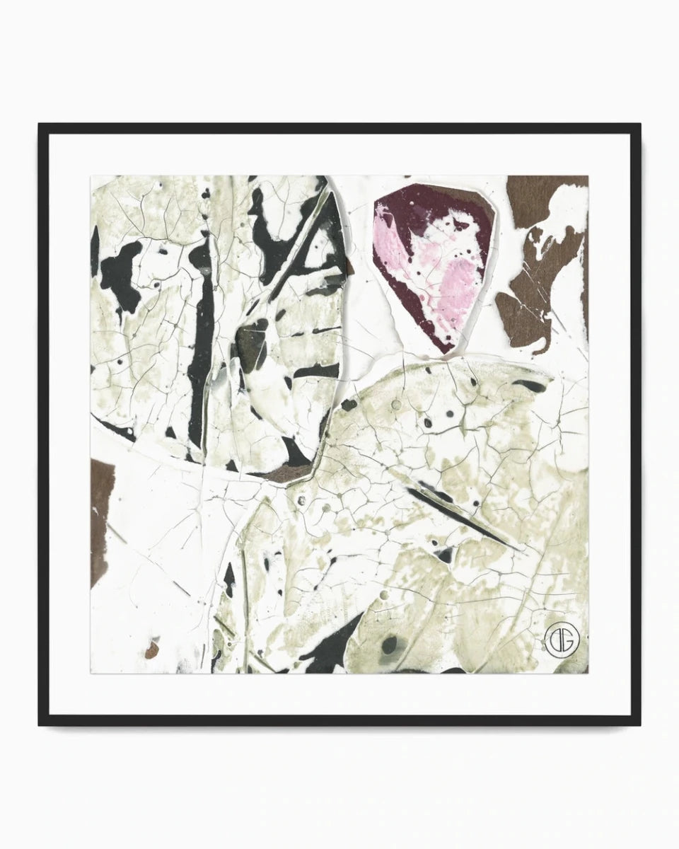 40" x 40" / Black Maple / Framed Paper
