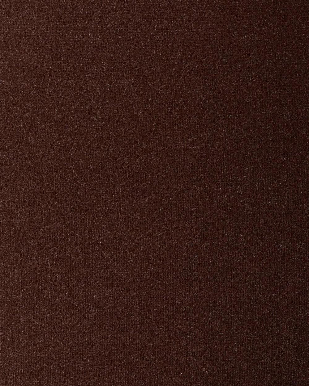 Surrey Cocoa