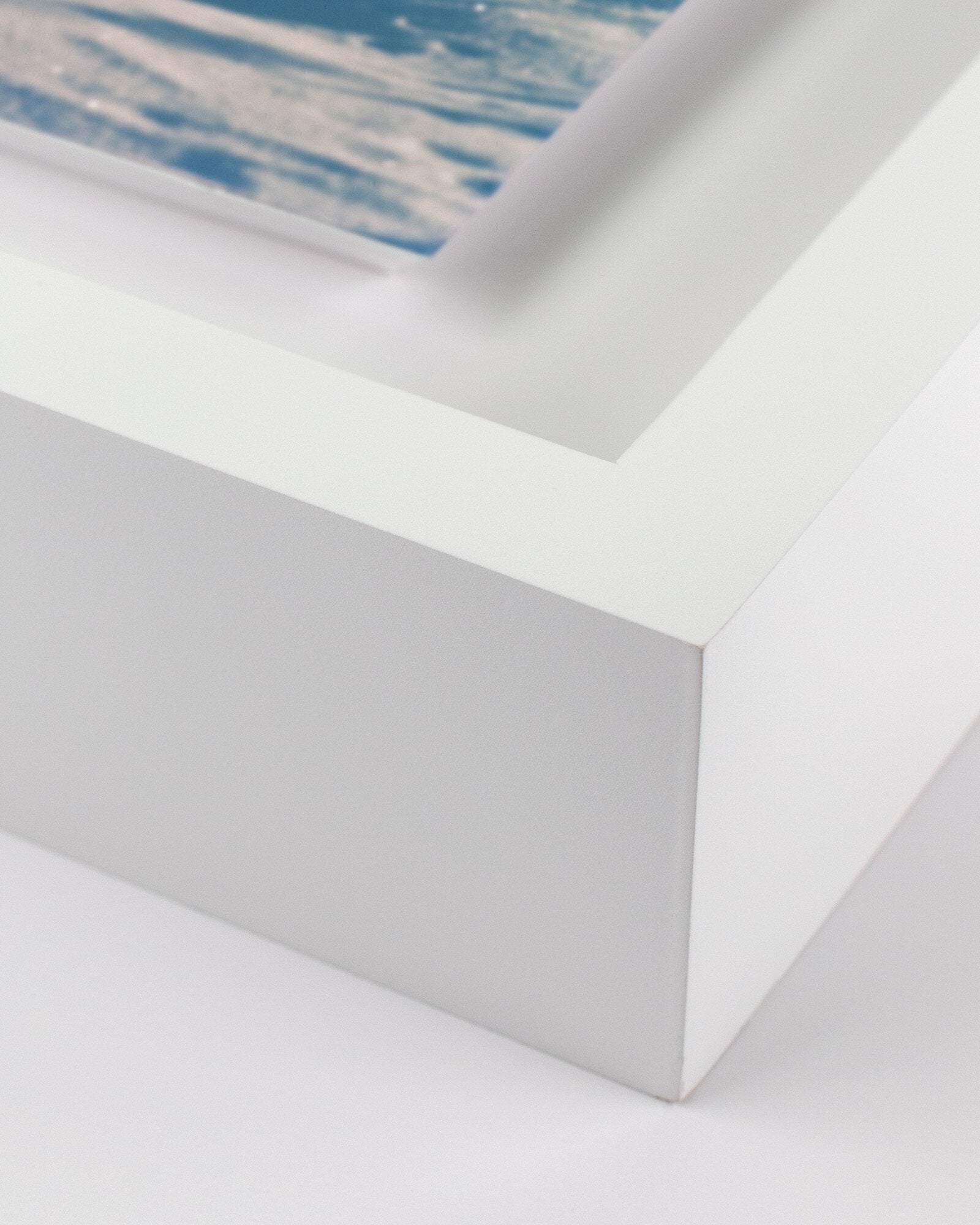 40" x 40" / White Maple