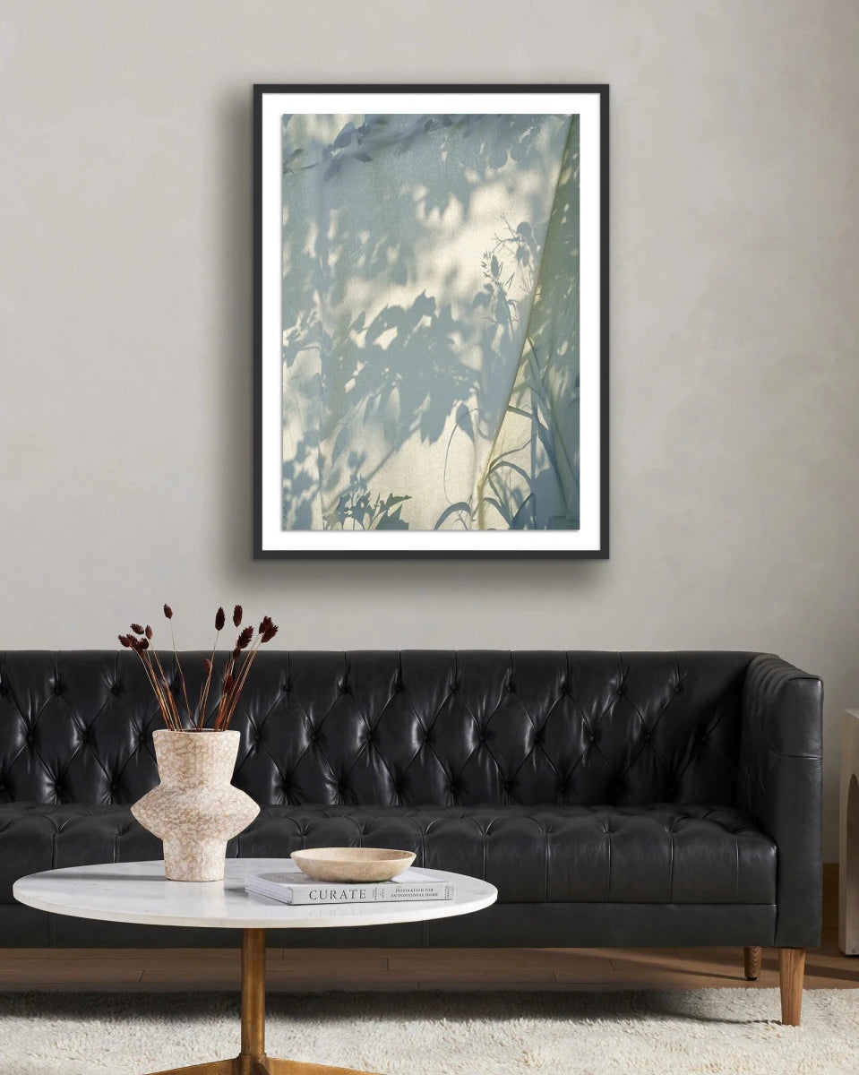 48" x 72" / Black Maple