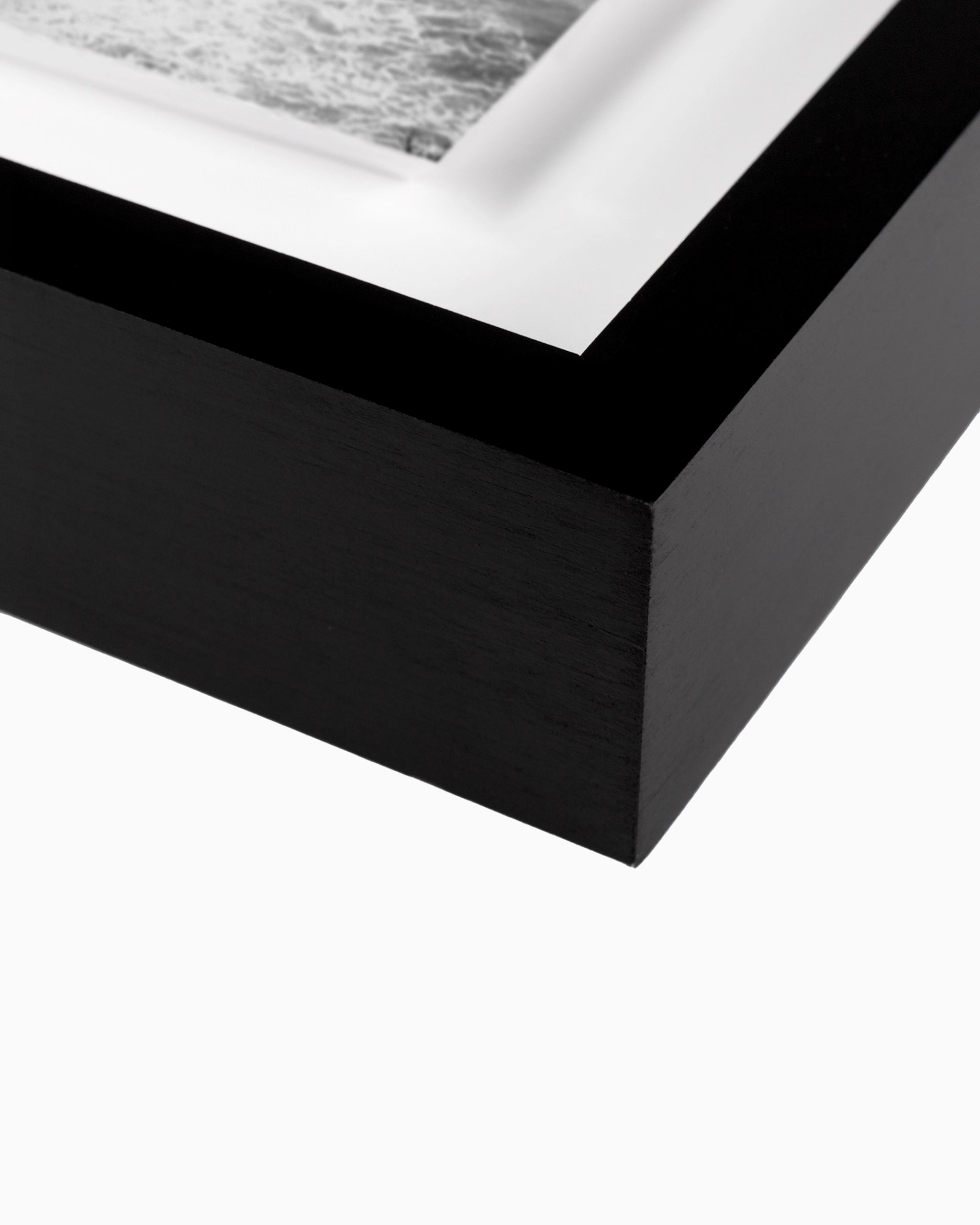 30" x 40" / Black Maple