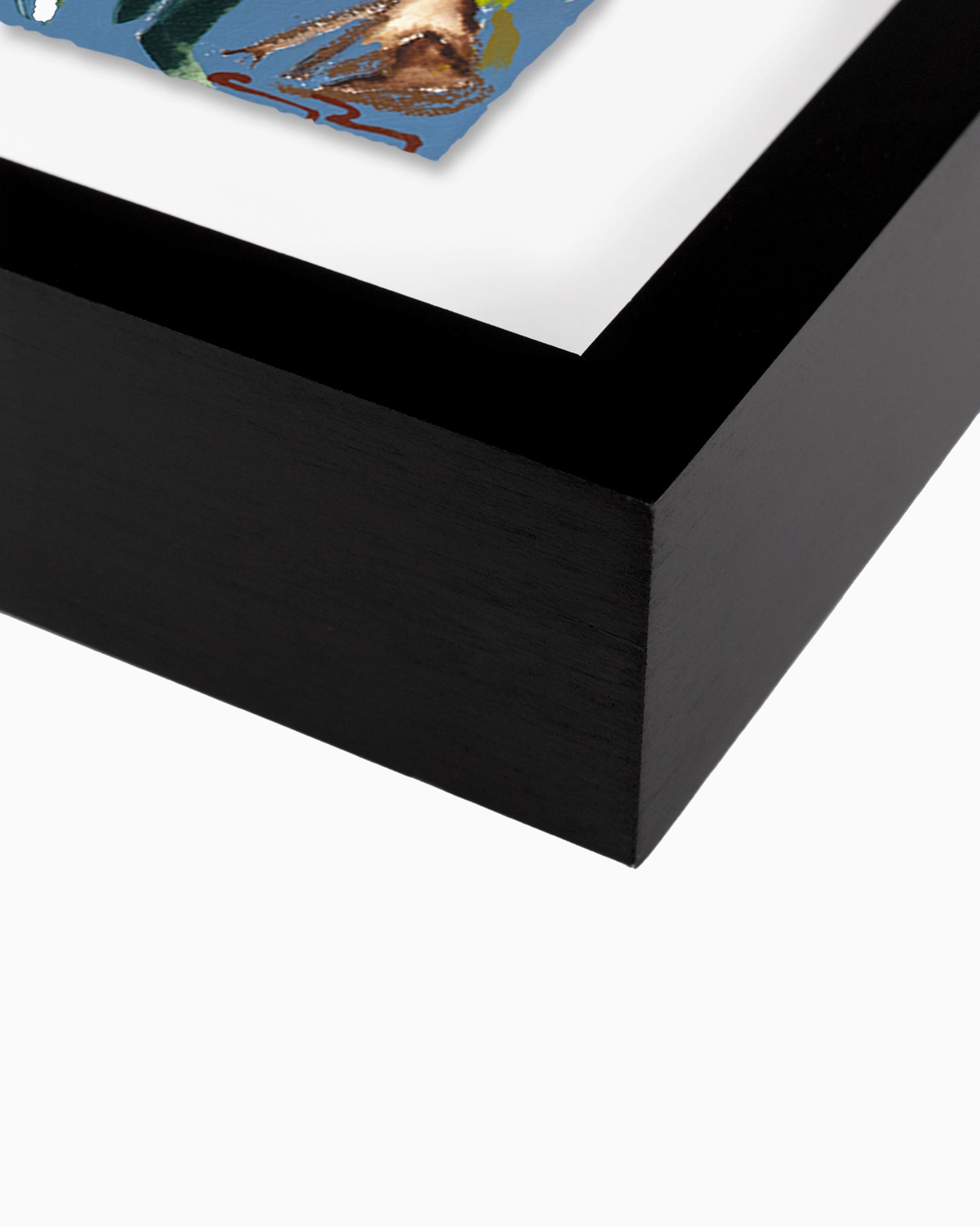 32" x 24" / Black Maple