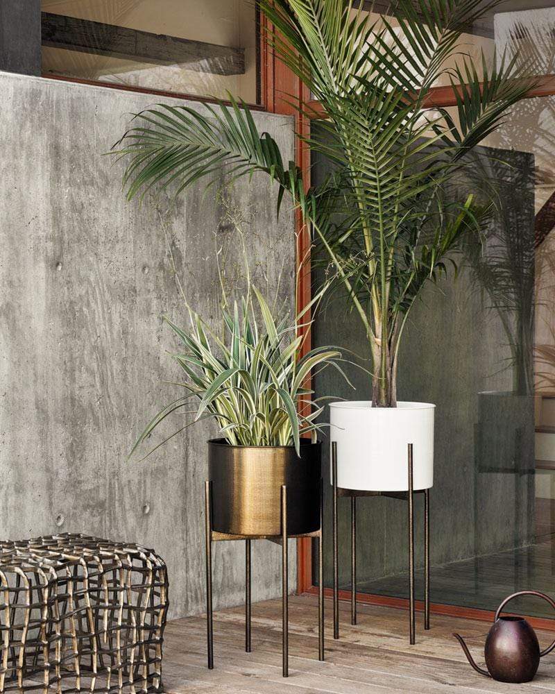 Weathered Brass / Small (26")