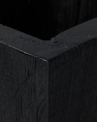 Carbonized Black / Medium
