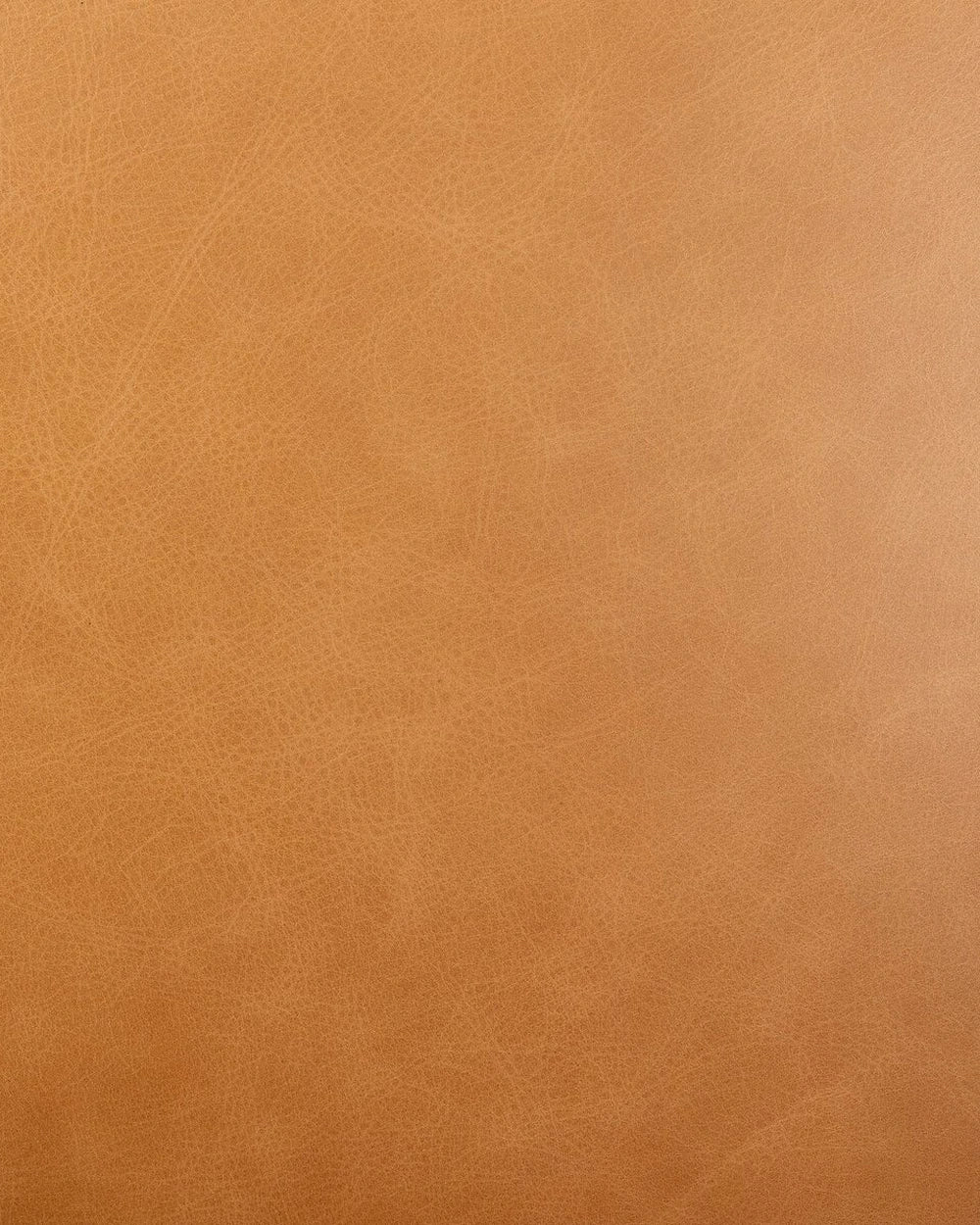 Sonoma Butterscotch