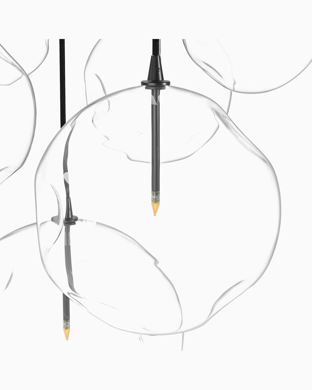 Black Gunmetal / Organic Glass