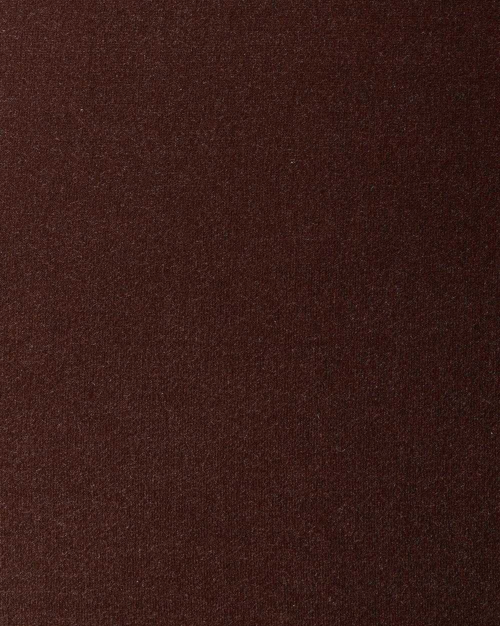 Surrey Cocoa