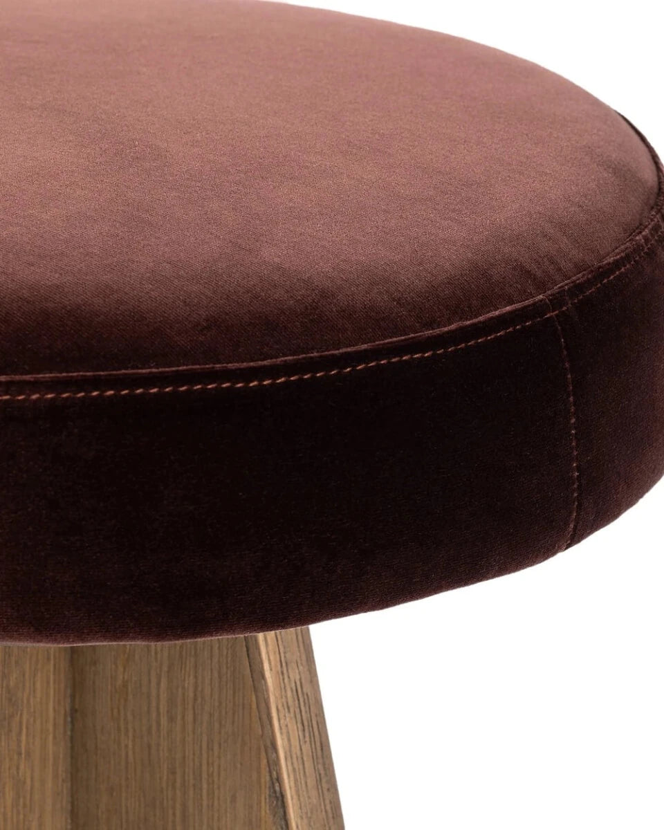 Surrey Plum / Counter