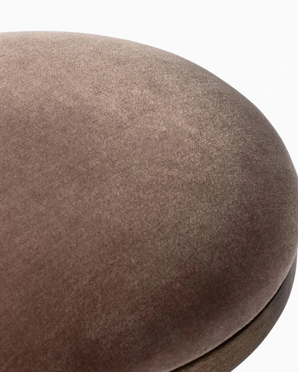 Monte Mushroom