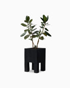 Carbonized Black / Medium