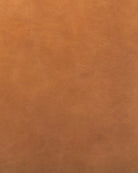 Valencia Camel