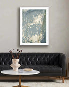 48" x 72" / White Maple