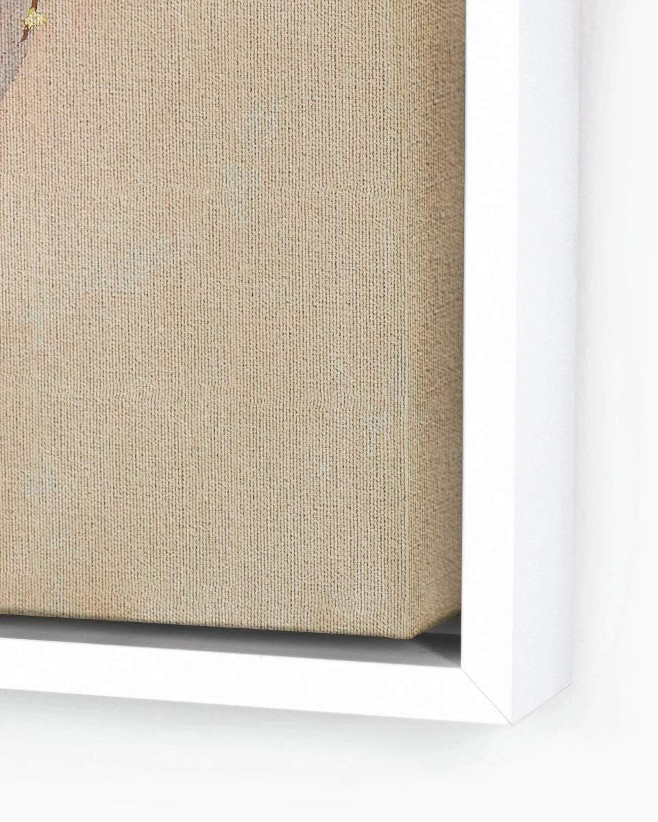 32" x 32" / White Maple