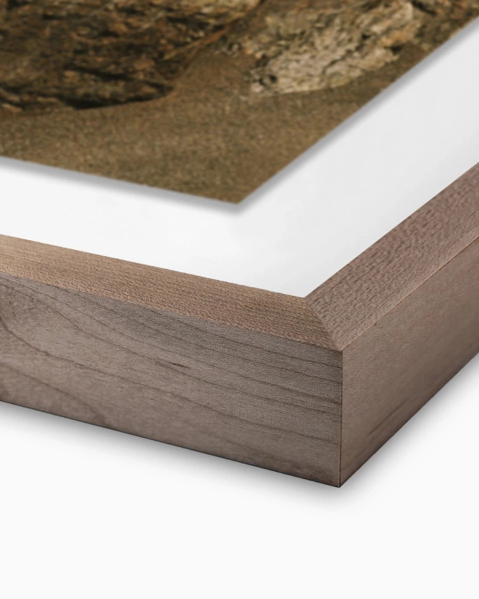 24" x 32" / Rustic Walnut