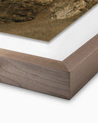 36" x 48" / Rustic Walnut