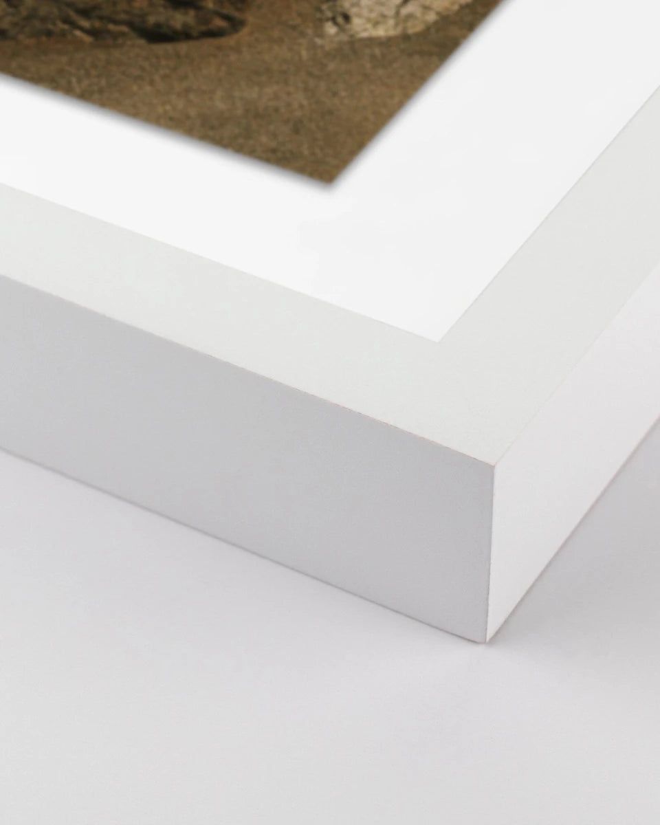 18" x 24" / White Maple