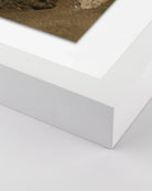 36" x 48" / White Maple