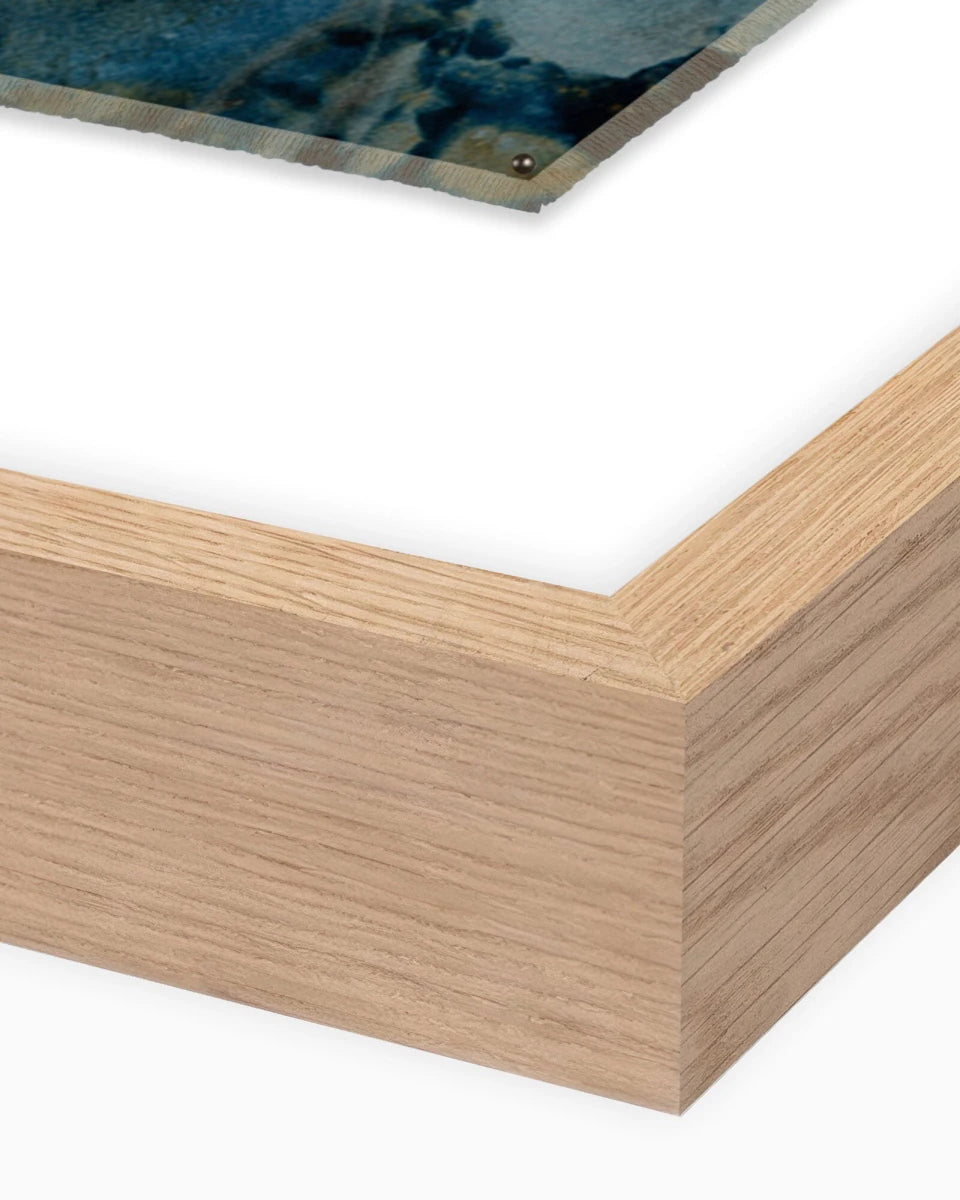 30" x 40" / White Oak