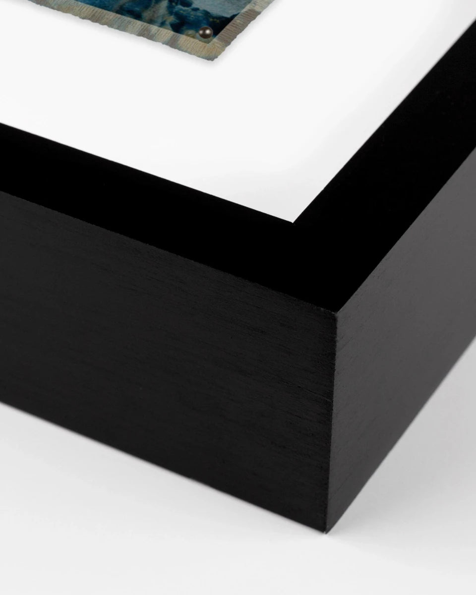 43" x 60" / Black Maple