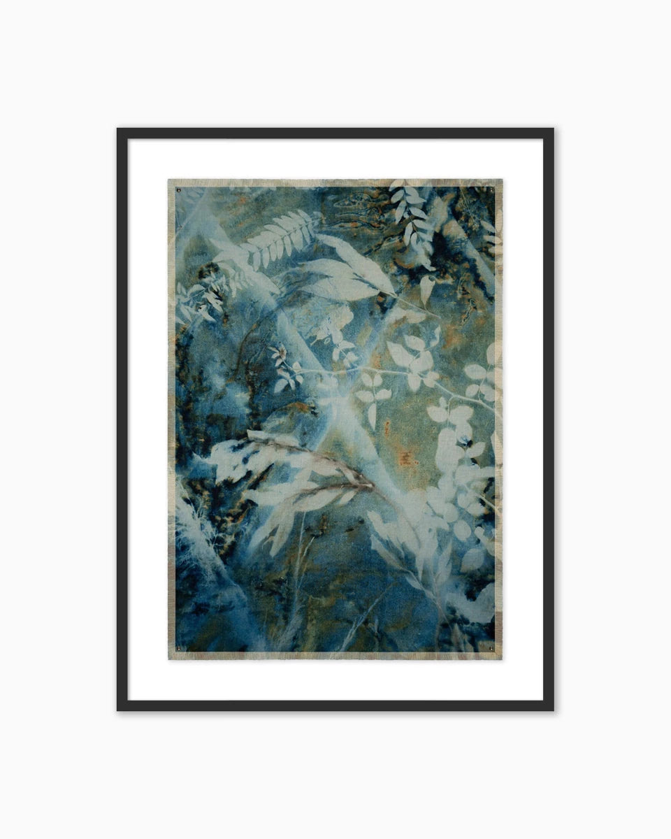 30" x 40" / Black Maple