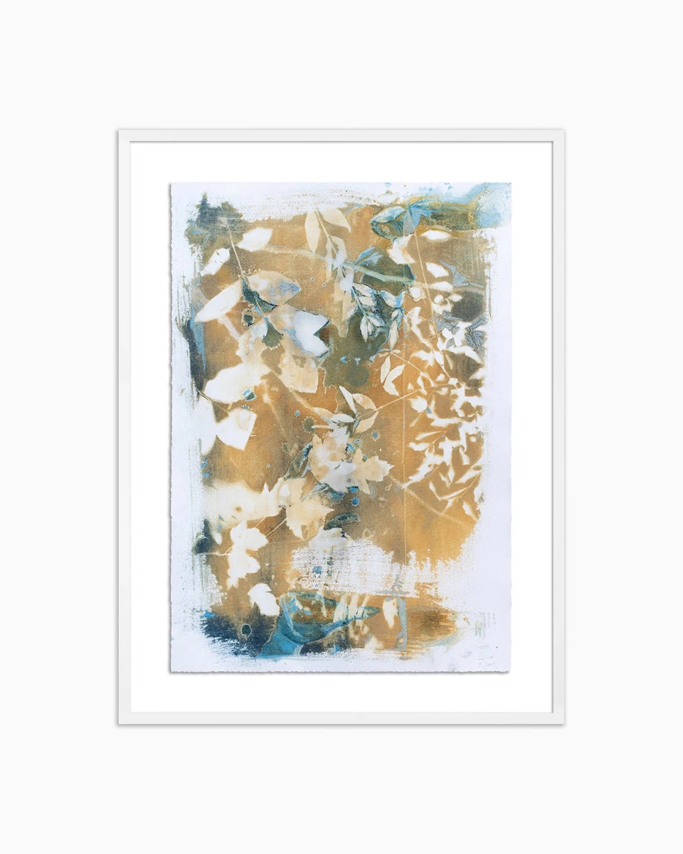 30" x 40" / White Maple