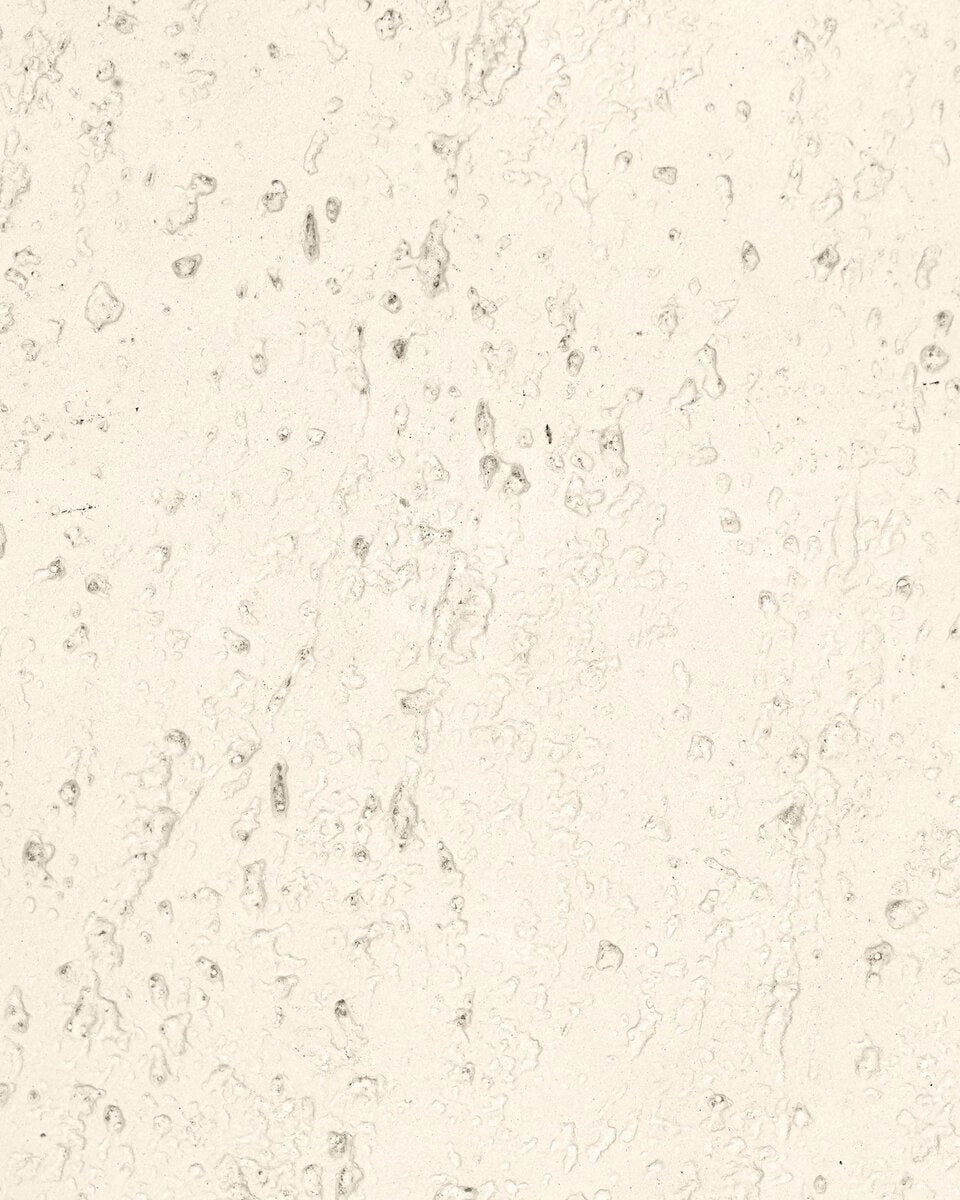 Coarse Ivory Concrete / Counter