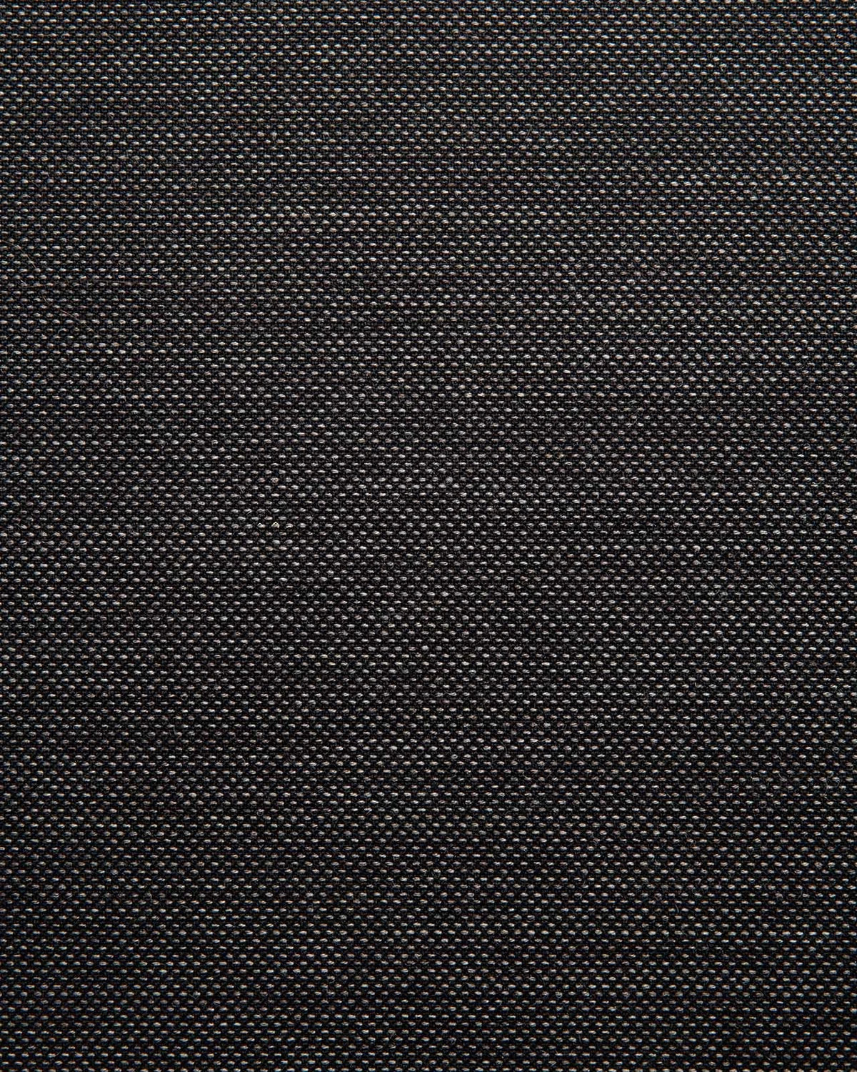 Black Oak / Soft Black