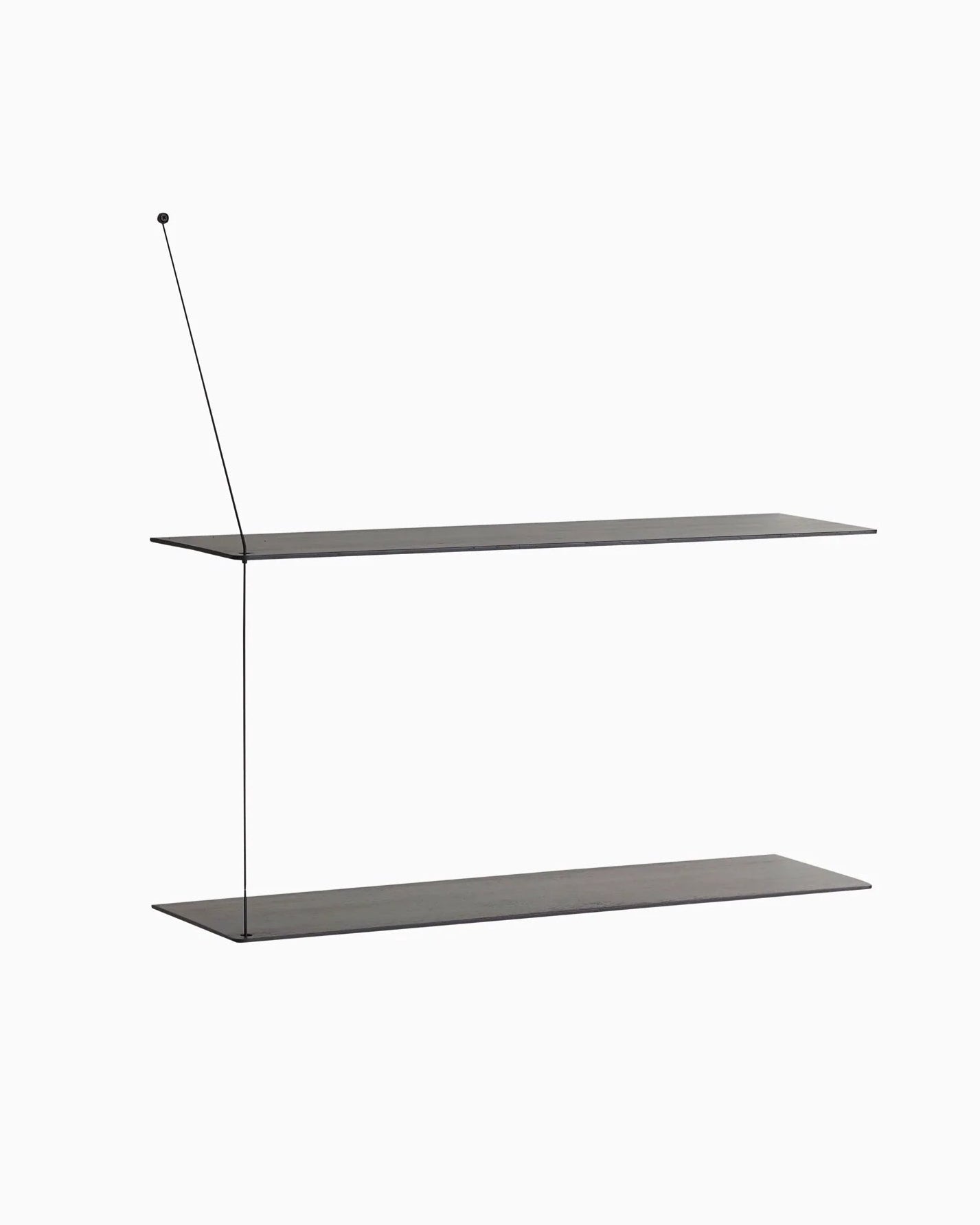 Black Oak / 31.5&quot;